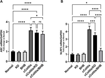 Unveiling the therapeutic potential of exogenous β-hydroxybutyrate for chronic colitis in rats: novel insights on autophagy, apoptosis, and pyroptosis